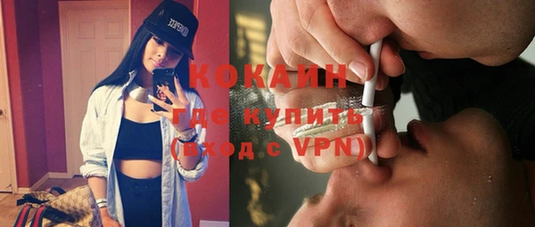 мдпв Богородск