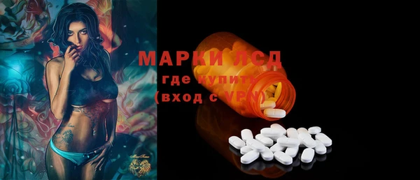 мдпв Богородск