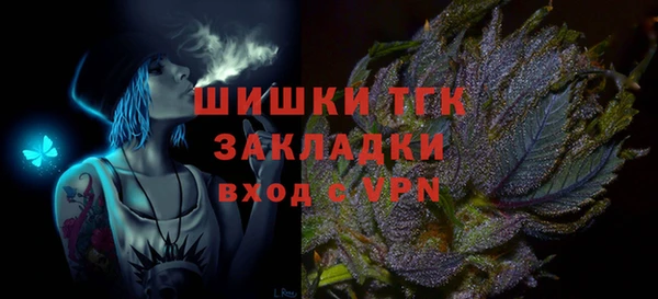 мдпв Богородск