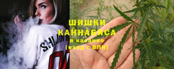 мдпв Богородск